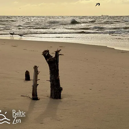 Baltic Zen Ii - *